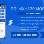 Đăng ký gói MXH120 Mobifone ưu đãi 30GB, thả ga gọi thoại, dùng MXH